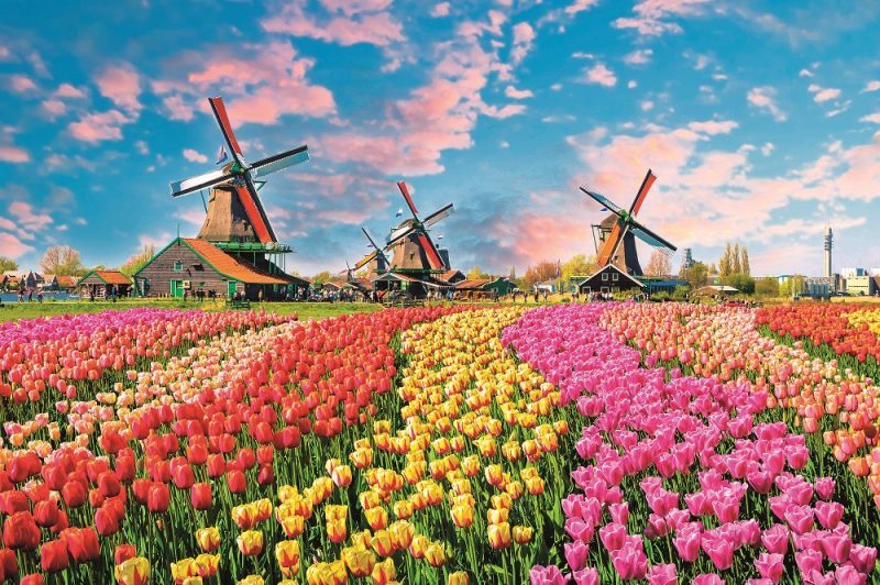 Největší Nizozemská slavnost: Nejen tulipány!