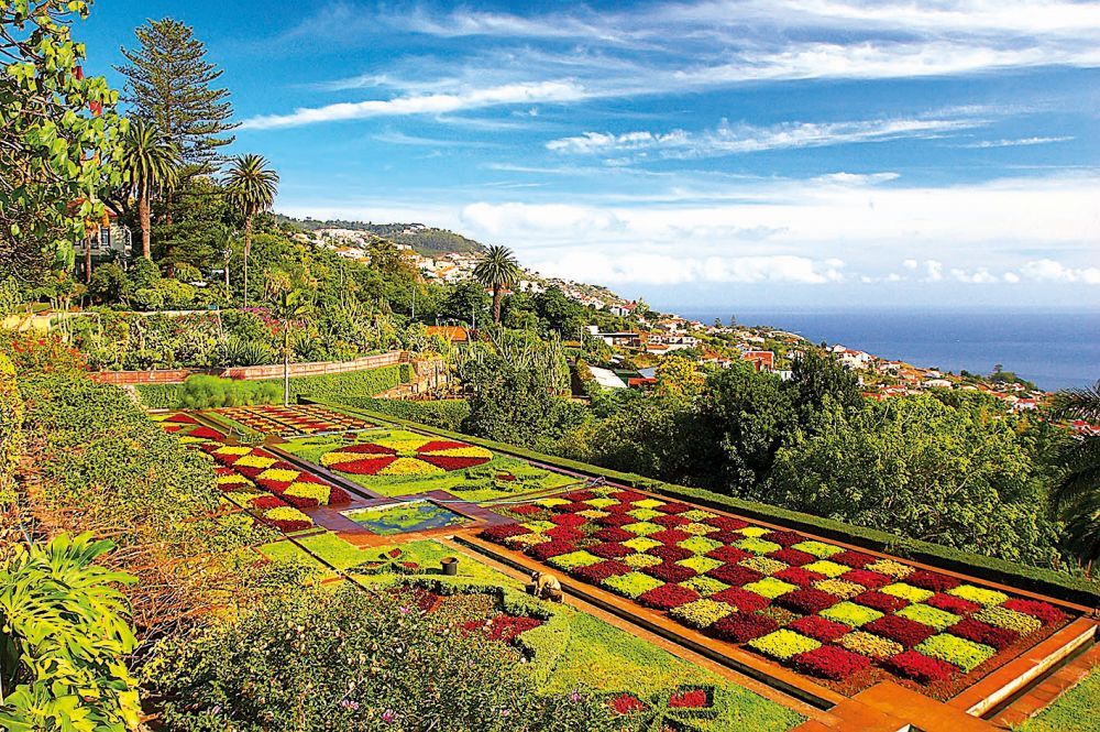 Madeira je květina uprostřed oceánu