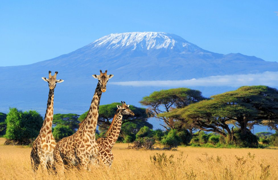 Gigant Kilimandžáro: Africké schody do nebe