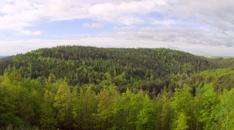 Lesy na severním Plzeňsku – Hradiště (Kralovická pahorkatina).