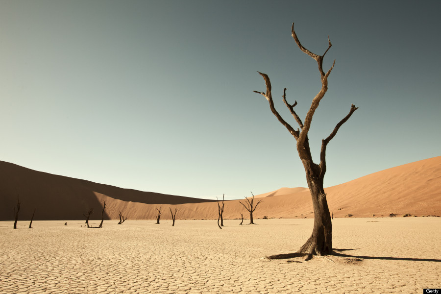 Namibská poušť: Uhrančivá krása surrealistické krajiny