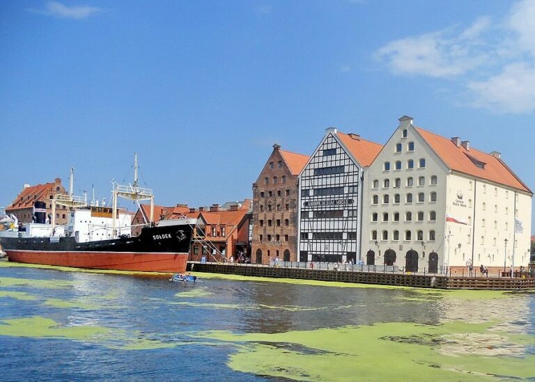 V Gdyni, jednom z nejmladších měst Polska, stojí za shlédnutí plovoucí muzeum – vojenská válečná loď a torpédoborec Blýskavica, a stoletý trojstěžník Dar Pomorza. A samozřejmě obří akvárium, přesněji Oceánografické muzeum s obřím mořským akváriem s korálovými rybkami.