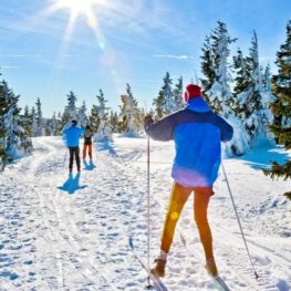 Jizerské hory v zimě: Tipy na krásné běžecké tratě