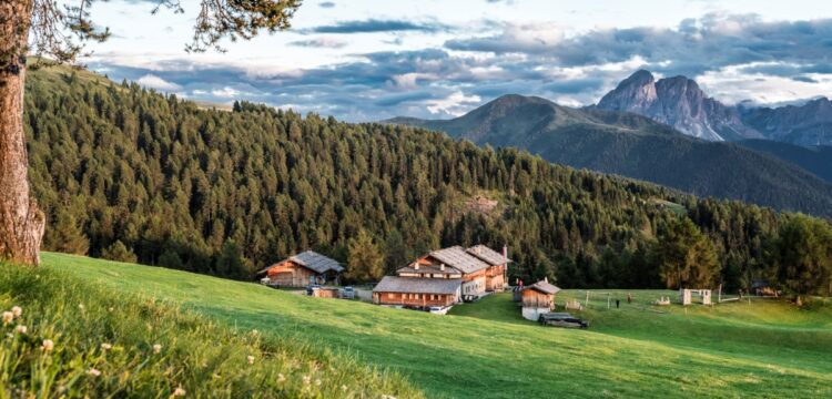 Kreuzwiesenalm, to je křižovatka vjemů a chutí v Jižním Tyrolsku