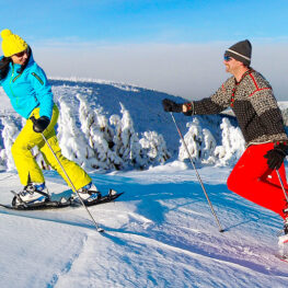 Adrenalin v Krkonoších: Půjčte si sněžnice, skialpy nebo psí spřežení