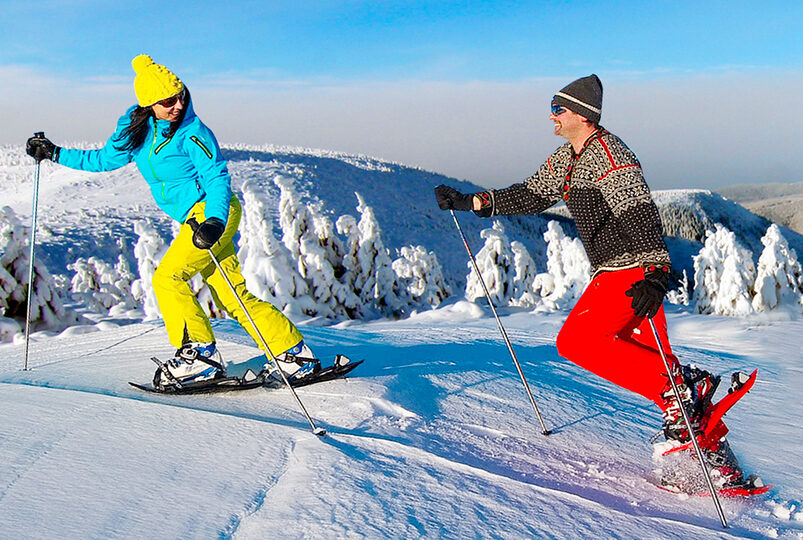 Adrenalin v Krkonoších: Půjčte si sněžnice, skialpy nebo psí spřežení