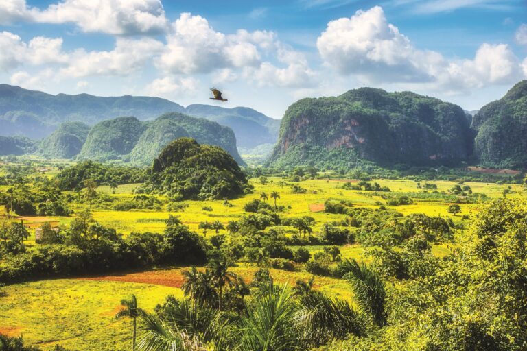 Údolí Viñales s malebnými homolemi vápencových hor a tabákovými plantážemi je na seznamu přírodních památek UNESCO.