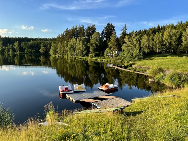 Domanínský rybník