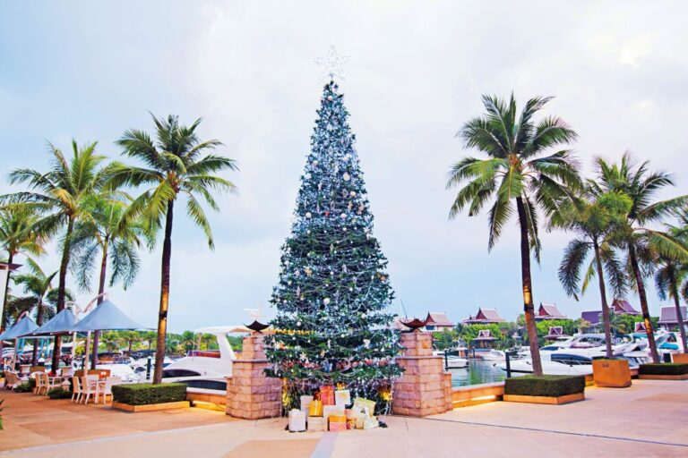 Vánoční stromeček se prosadí i tam, kde jehličnany nerostou.