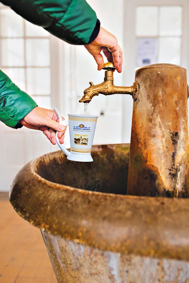 Hlavní léčebná budova leží přímo na zdejší útulné kolonádě.