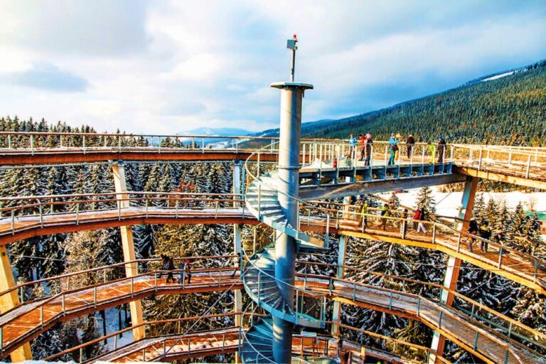 Vydejte se na Stezku korunami stromů.